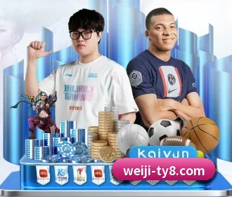 维基体育 APP